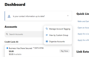 showing how to customize business accounts