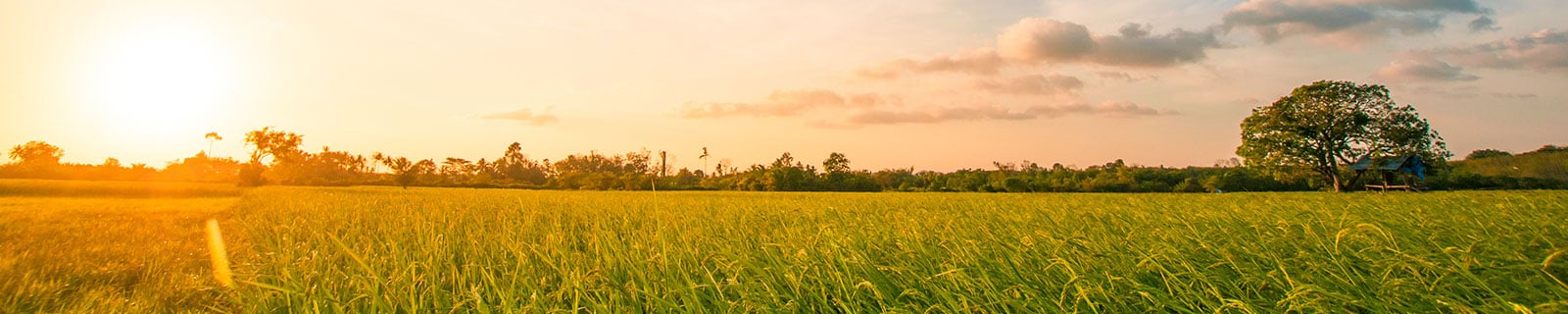 willamette valley landscape