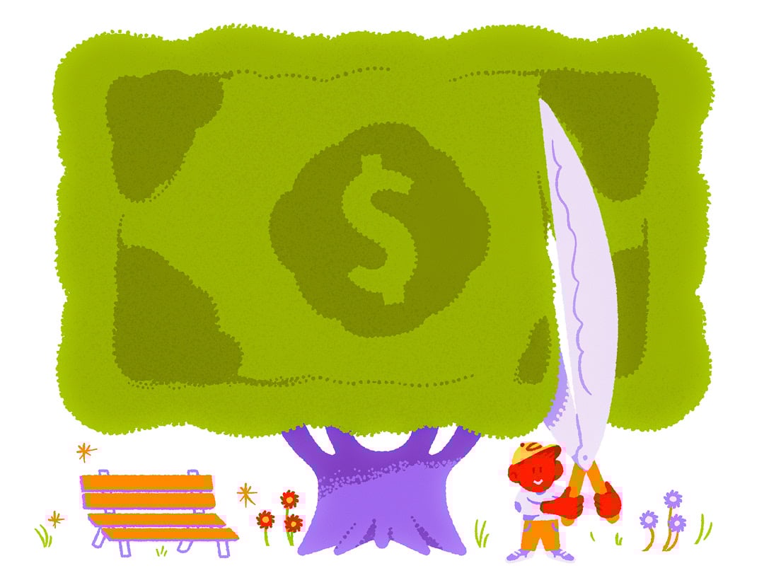 A boy trims a section off a tree whose branches look like a dollar bill.