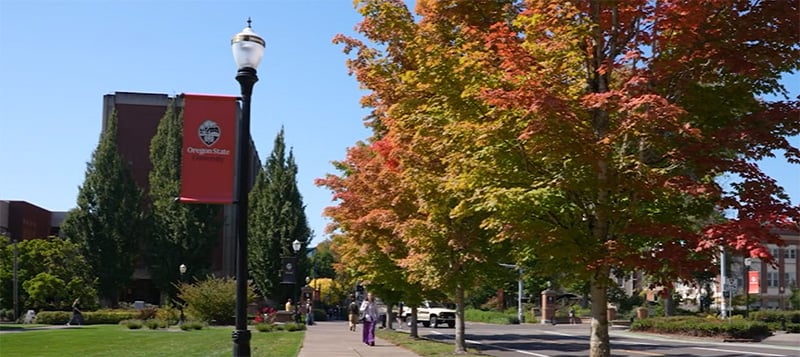 students walking on OSU college campus